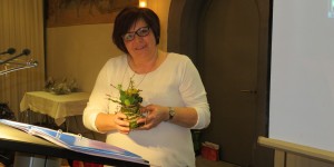 Hauptversammlung 2016