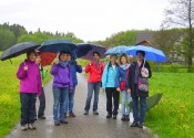 Maibummel 2015 038