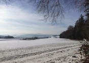 IMG 20210109 WA0003