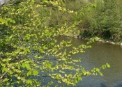 IMG 20220501 WA0001