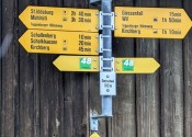 2024 sommerprogramm  23 