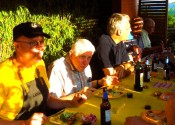 2015 Sommerprogramm Goldfische 13