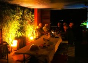 2015 Sommerprogramm Goldfische 16