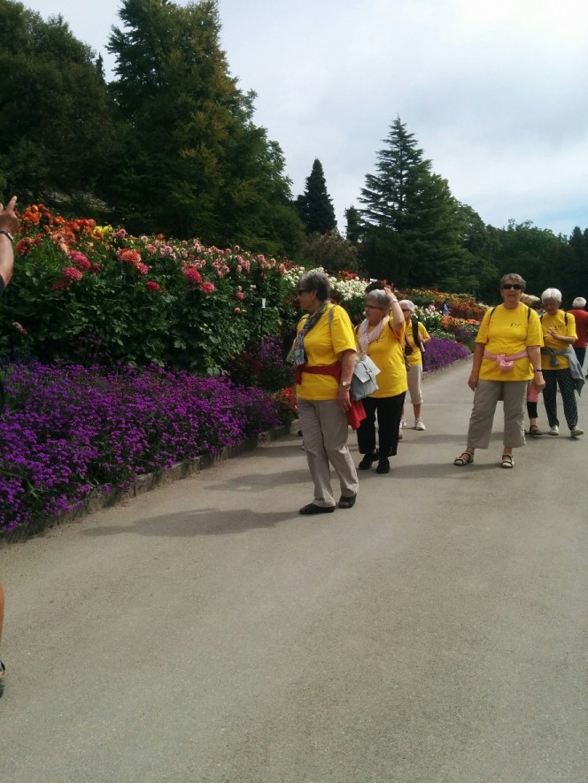 ReiseMainau1