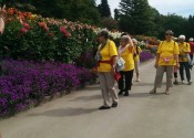 ReiseMainau1