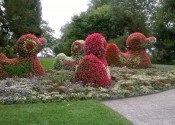 ReiseMainau17