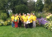 ReiseMainau2